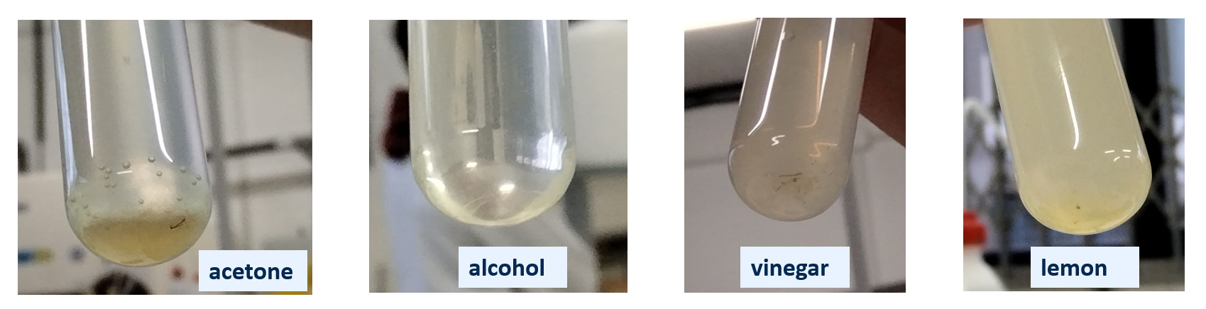 vier Reagenzgläser mit unterschiedlich gefärbten Flüssigkeiten, die Röhrchen sind beschriftet: Aceton, Alkohol, Essig, Zitrone