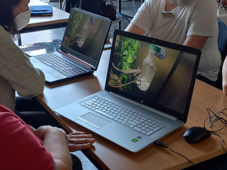 Qualifizierungsangebot in Jena: Bild eines Chamäleons auf dem Laptop einer Lehrkraft im Workshop "Real - Digital - Authentisch: Das Jemen-Chamäleon als Unterrichtsgegenstand"