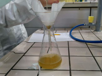Umfüllen des Extrakts in einen Erlenmeyerkolben mit Hilfe eines Filters
