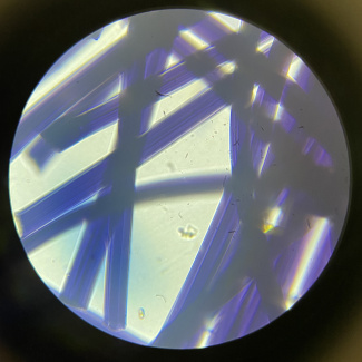 Viskose Faser unter dem Mikroskop