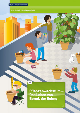 Pflanzenwachstum