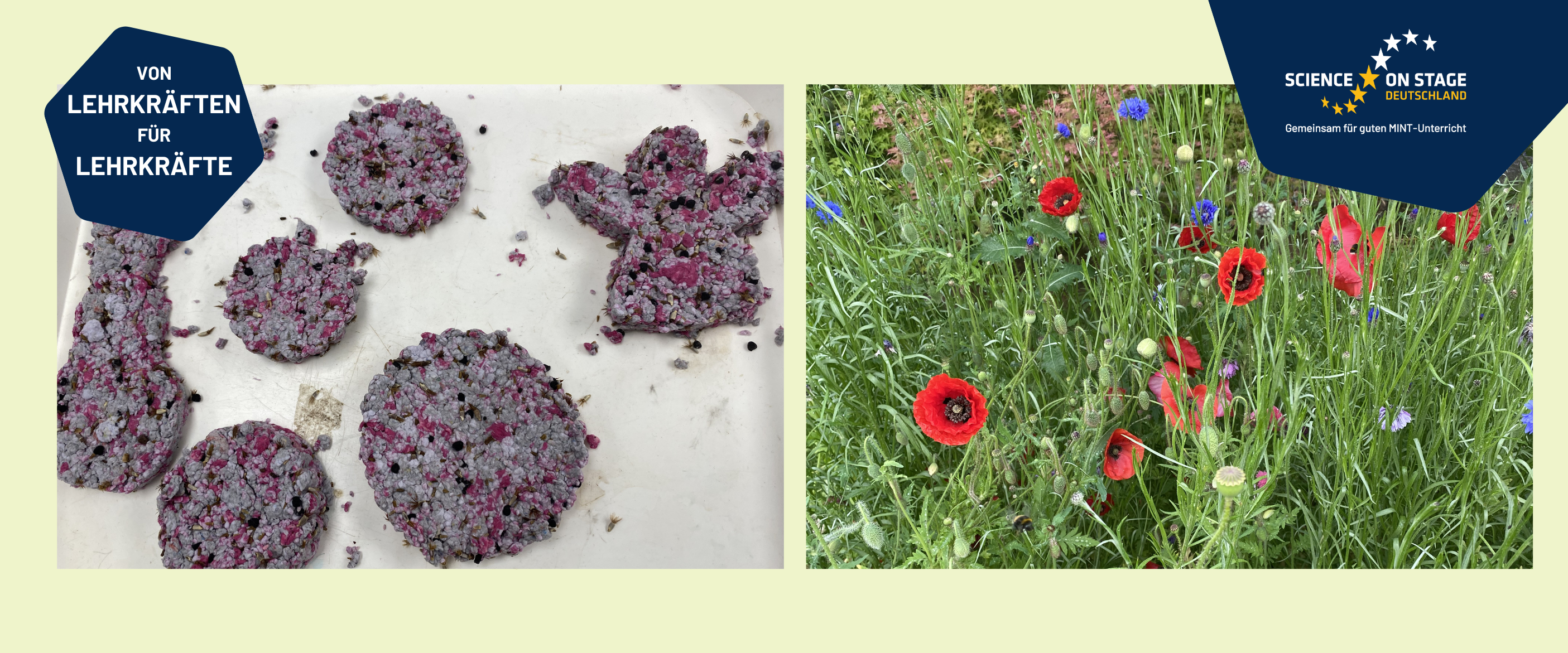 Wildblumen-Samenkugeln aus Recyclingpapier Titelbanner