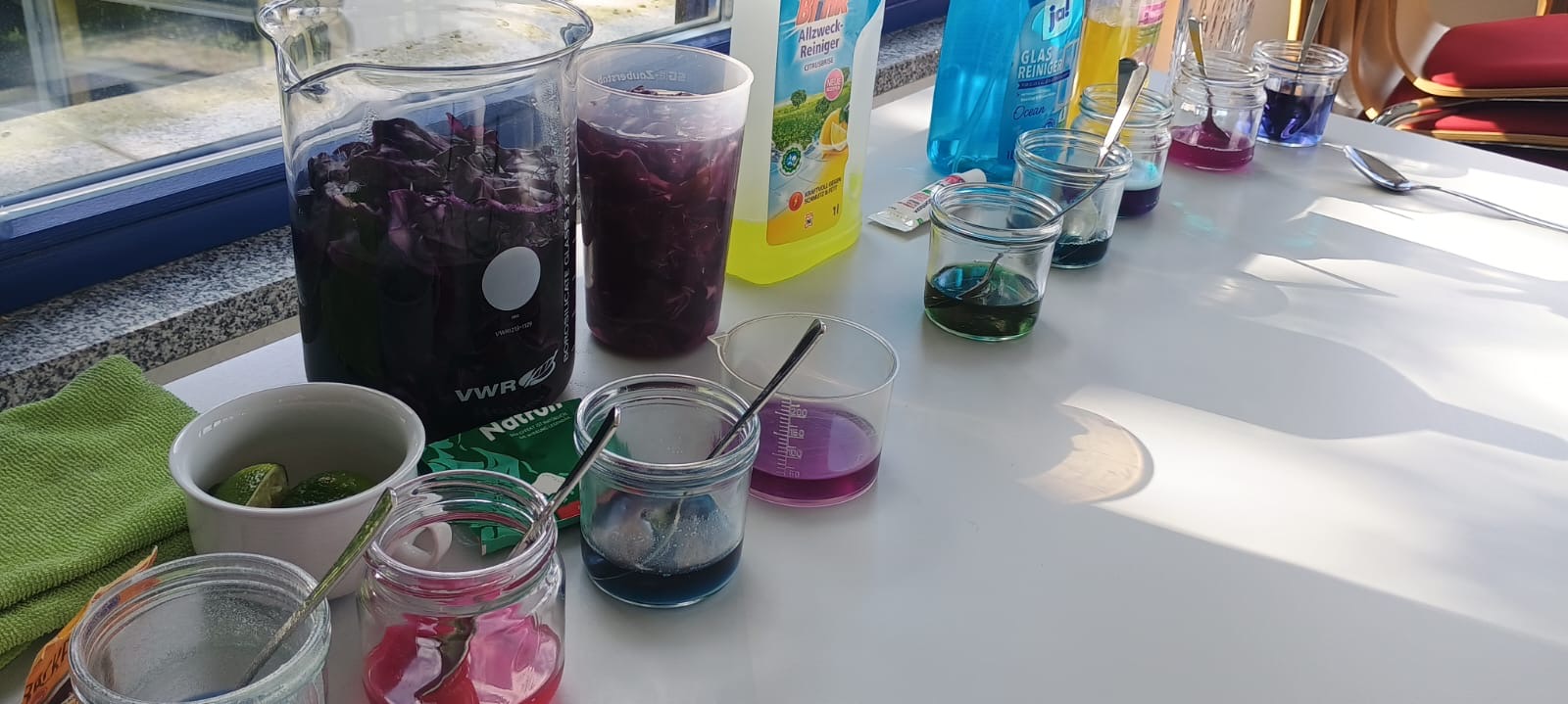 Verschiedenfarbige Flüssigkeiten in durchsichtigen Behältern stehen auf einem Tisch