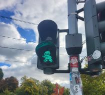 Eine Ampel mit einem grün leuchtenden Mainzelmännchen