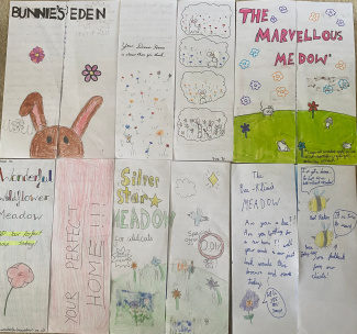 Wohnungsfinder für Tiere in der Wildblumenwiese