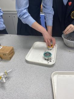 Samenkugeln mit Ausstechern