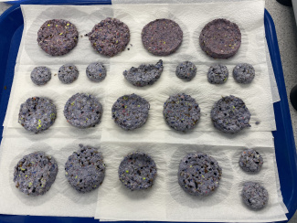 Samenkugeln zum Trocknen auslegen