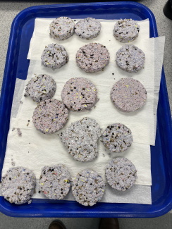 Getrocknete Samenkugeln