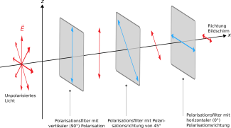 Weg des Lichtes durch die drei Polarisationsfilter