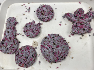 Samenkugeln in verschiedenen Formen