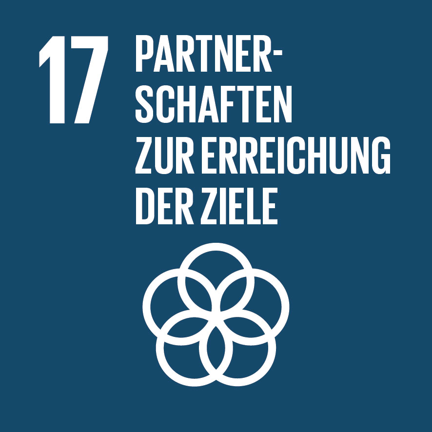 SDG Partnerschaften zur Erreichung der Ziele